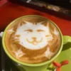 Neko and Kopi - Pet Friendly Cafe in Colombo.