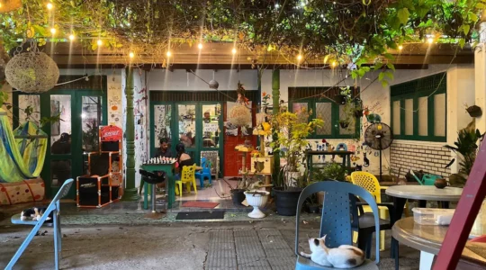 Neko and Kopi - Pet Friendly Cafe in Colombo.