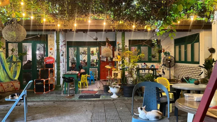 Neko and Kopi - Pet Friendly Cafe in Colombo.